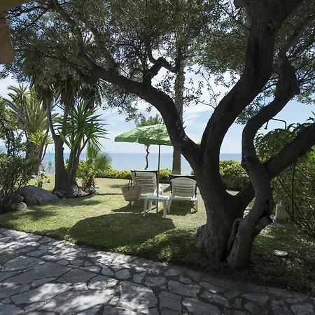 Apartament My